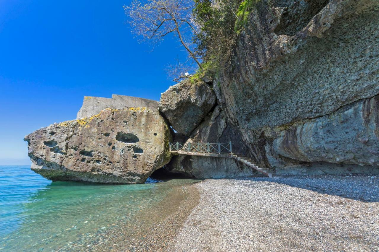 Hancioglu Orman Evleri & Hotel Trabzon Exteriör bild